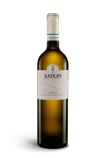 Latium Morini Soave Classico "Calle" Doc 2021 - Vinum Italia
