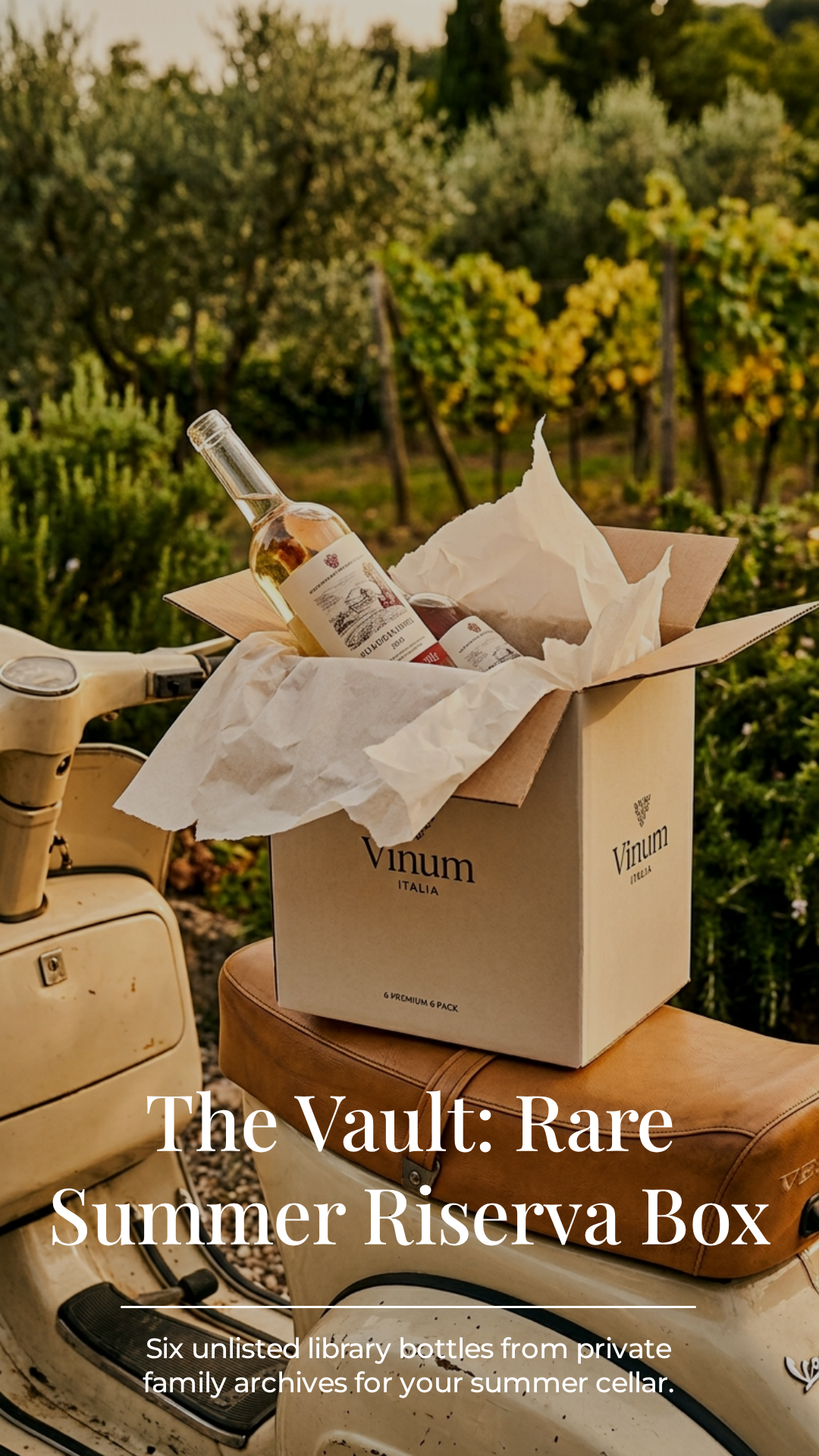 Summer Limited Mystery Wine Box - 6pack