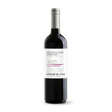Vigne e Vini Montepulciano d'Abruzzo 