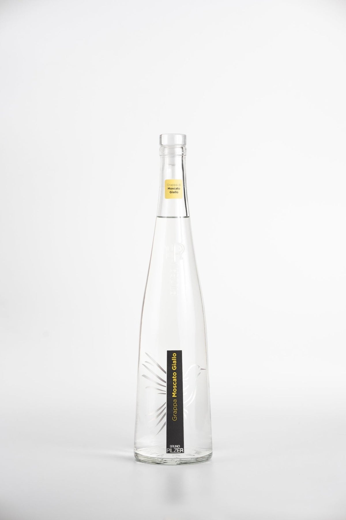 Bottle of Pilzer Moscato Giallo Grappa