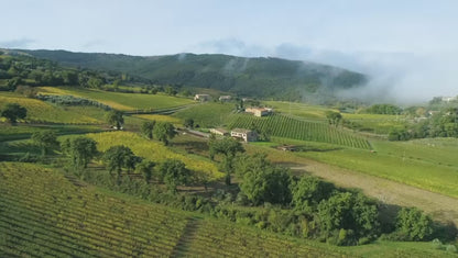 Paradiso Cacuci Brunello Di Montalcino Docg 2017