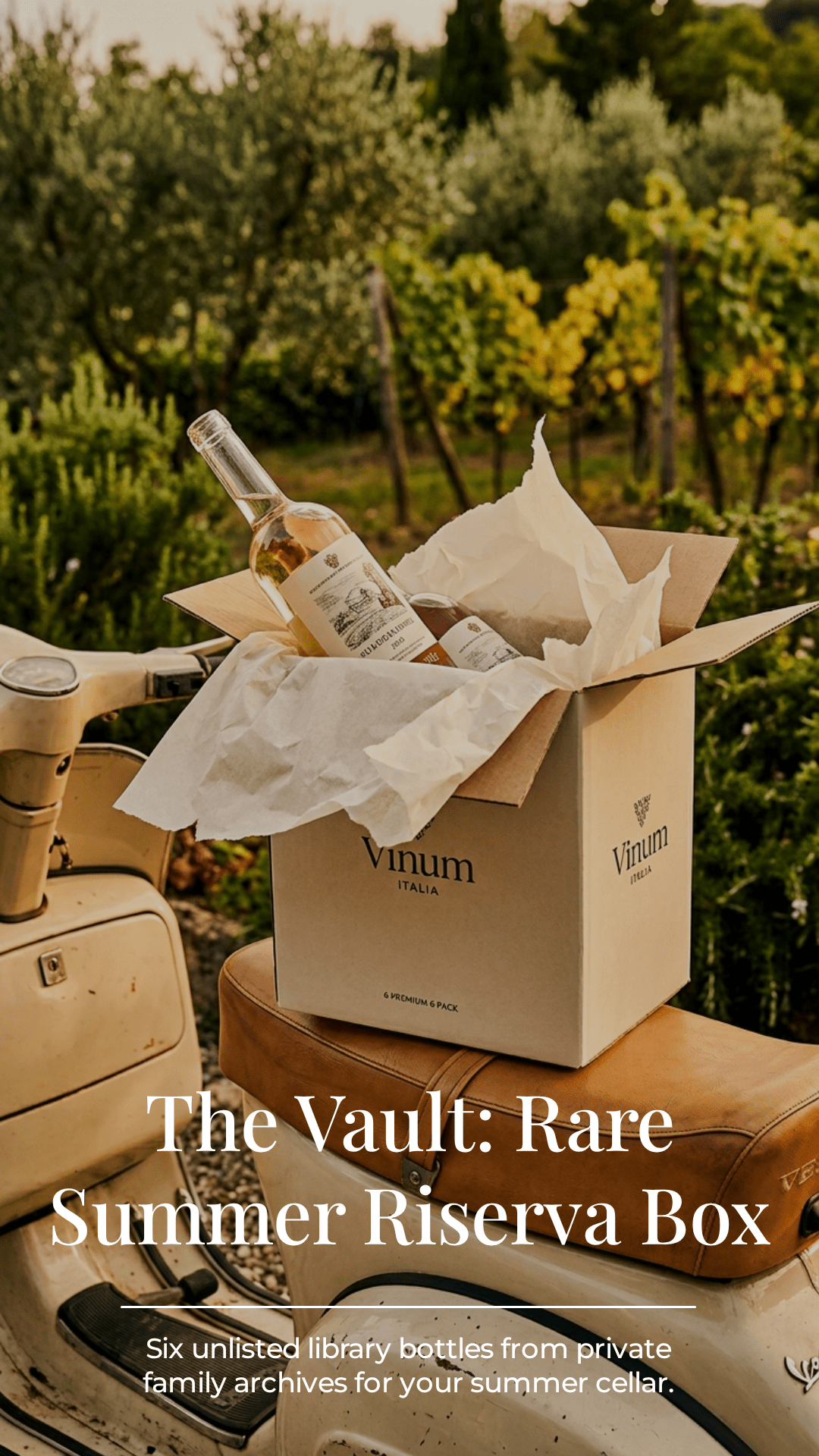 Summer Limited Mystery Wine Box - 6pack - Vinum Italia